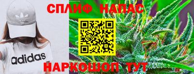 сатива Лесосибирск
