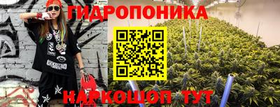 сатива Лесосибирск