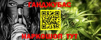 сатива Лесосибирск