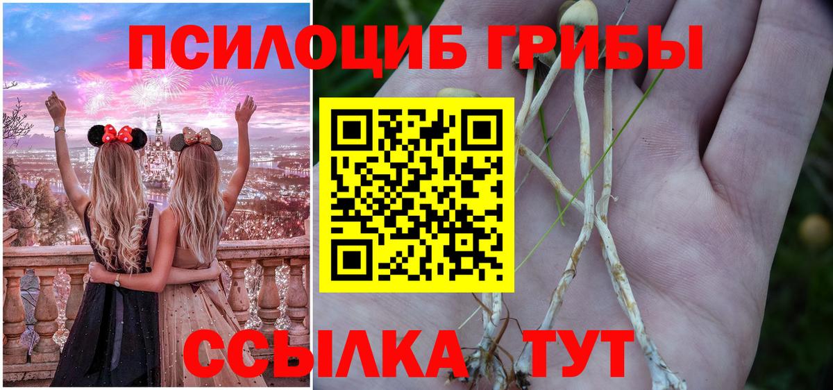 Галлюциногенные грибы мухоморы Вязники