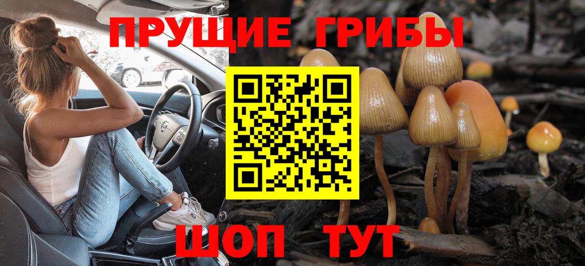 Вязники  Псилоцибиновые грибы ЛСД  Вход с VPN  Псилоцибиновые грибы Psilocybe 